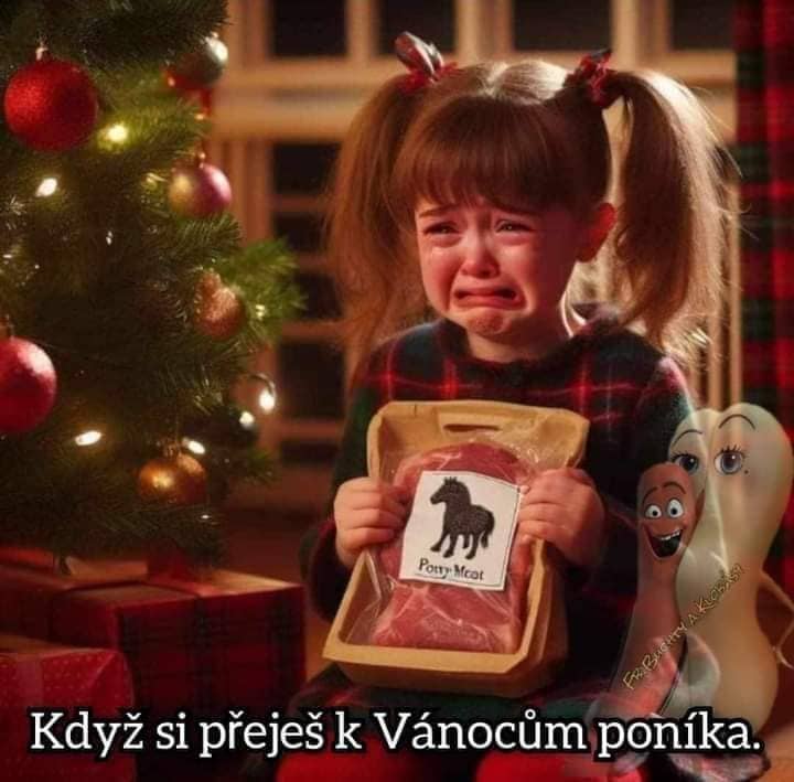 Dostala poníka