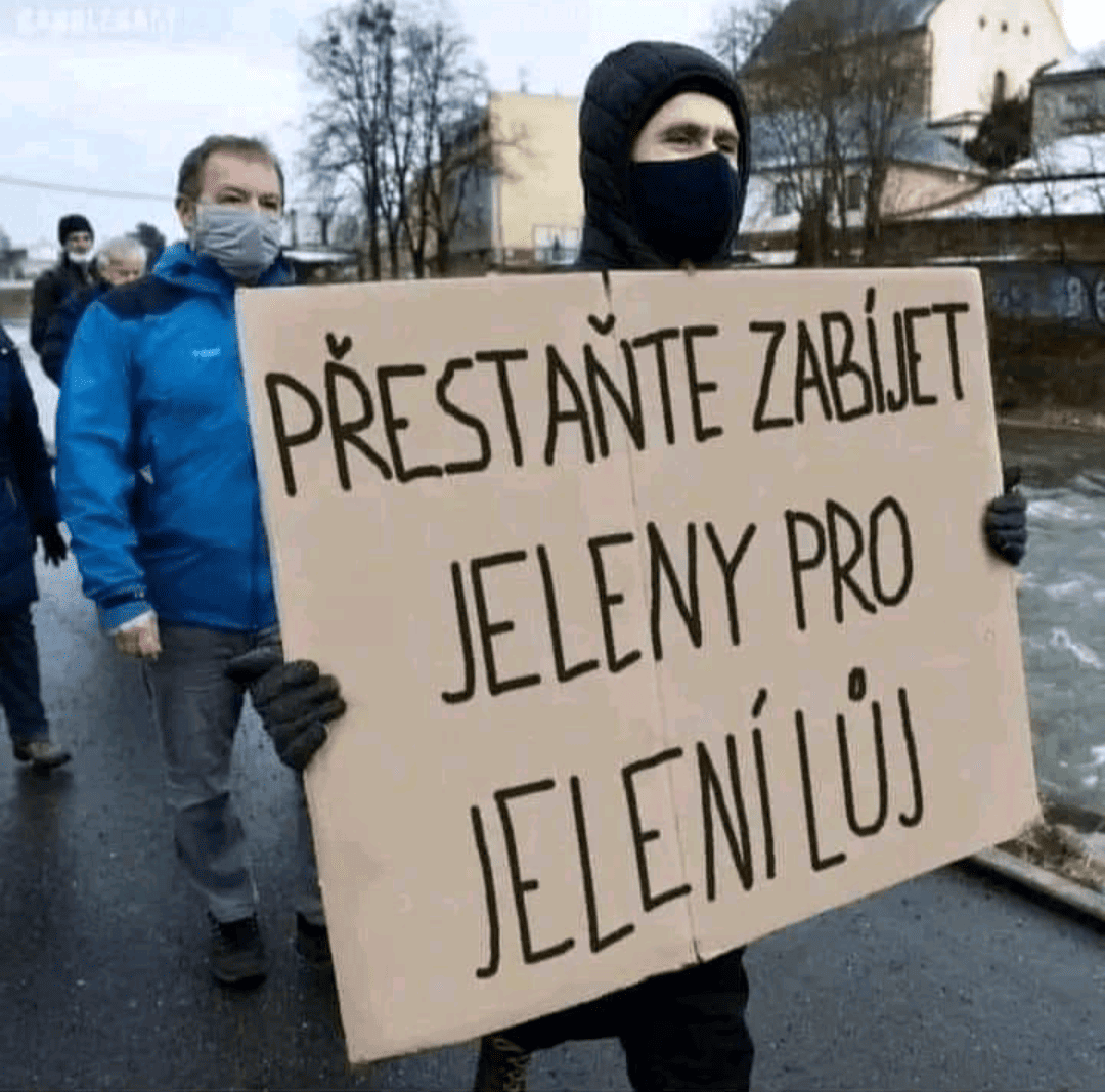 Proč... Je IQ i v záporu