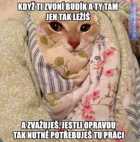 Má to cenu?