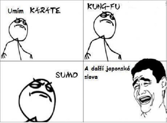Když se učíte jazyk