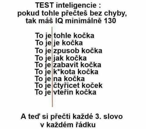 IQ test pro každého