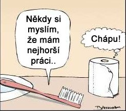 Pochopení
