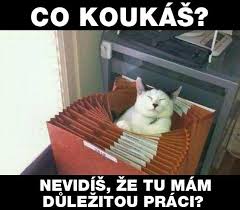 V pracovním prostředí by si člověk měl mít možnost lehnout si