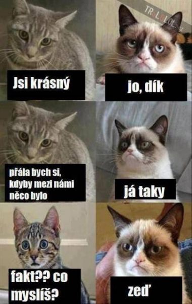 Nejsem nerudný, spíše upřímný