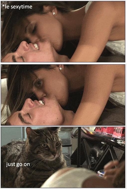 Nemůžu, když se moje kočka dívá