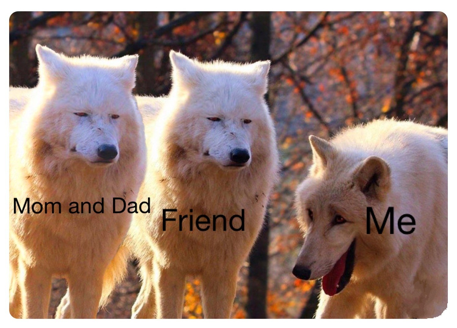 Ano, někdo to musí brát jako vtip