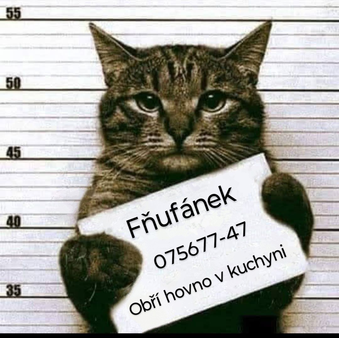 Kde... Mám... Právníka!