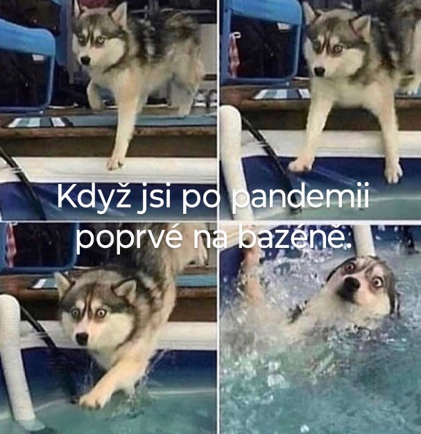 Ten nezvyk