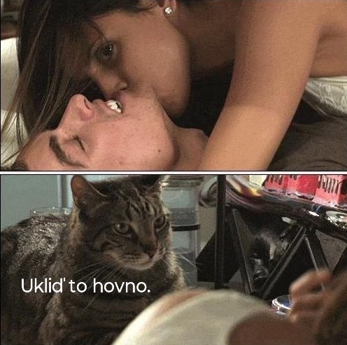 Čekám na uklizení hovna