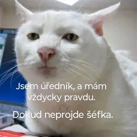 Vím, že ano soudružko